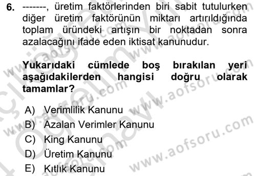 Çalışma Ekonomisi 1 Dersi 2023 - 2024 Yılı Yaz Okulu Sınav Soruları 6. Soru