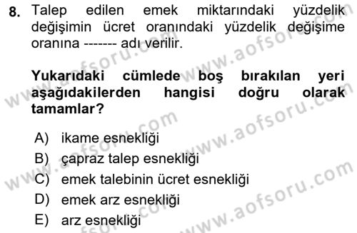 Çalışma Ekonomisi 1 Dersi 2023 - 2024 Yılı Yaz Okulu Sınav Soruları 8. Soru