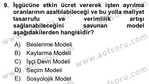 Çalışma Ekonomisi 1 Dersi 2023 - 2024 Yılı Yaz Okulu Sınav Soruları 9. Soru