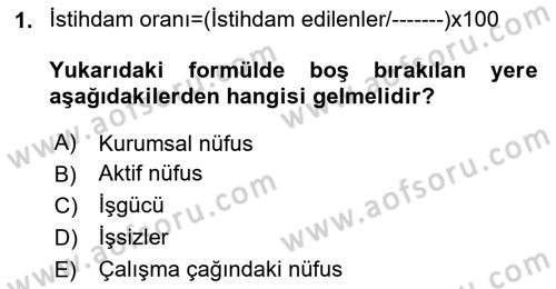 Çalışma Ekonomisi 1 Dersi 2024 - 2025 Yılı (Vize) Ara Sınav Soruları 1. Soru