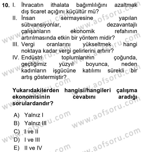 Çalışma Ekonomisi 1 Dersi 2024 - 2025 Yılı (Vize) Ara Sınav Soruları 10. Soru