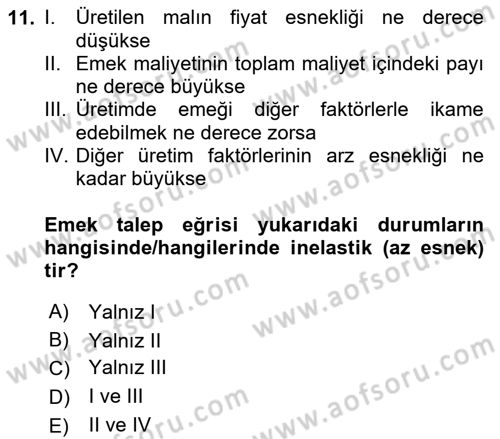 Çalışma Ekonomisi 1 Dersi 2024 - 2025 Yılı (Vize) Ara Sınav Soruları 11. Soru