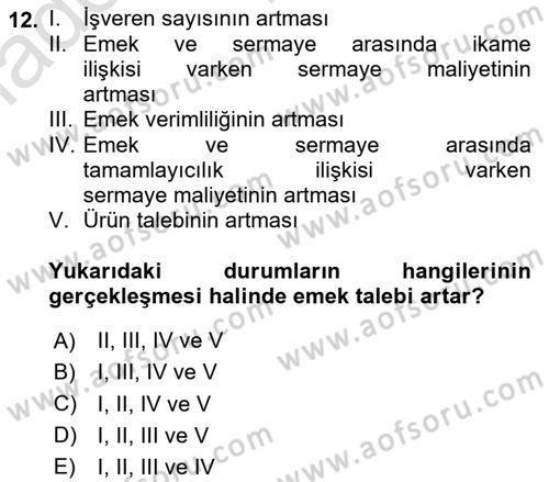 Çalışma Ekonomisi 1 Dersi 2024 - 2025 Yılı (Vize) Ara Sınav Soruları 12. Soru