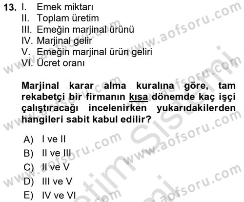 Çalışma Ekonomisi 1 Dersi 2024 - 2025 Yılı (Vize) Ara Sınav Soruları 13. Soru