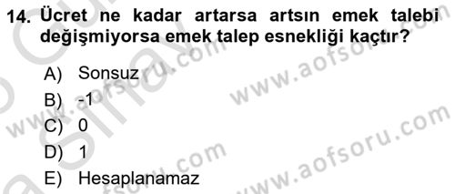 Çalışma Ekonomisi 1 Dersi 2024 - 2025 Yılı (Vize) Ara Sınav Soruları 14. Soru