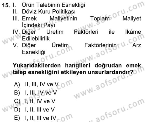 Çalışma Ekonomisi 1 Dersi 2024 - 2025 Yılı (Vize) Ara Sınav Soruları 15. Soru