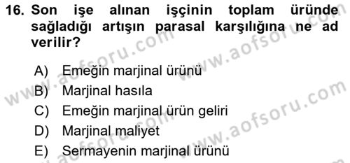 Çalışma Ekonomisi 1 Dersi 2024 - 2025 Yılı (Vize) Ara Sınav Soruları 16. Soru