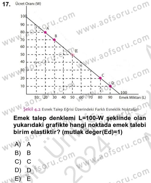 Çalışma Ekonomisi 1 Dersi 2024 - 2025 Yılı (Vize) Ara Sınav Soruları 17. Soru