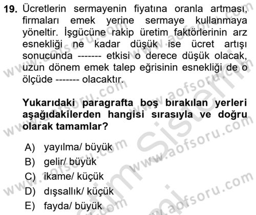 Çalışma Ekonomisi 1 Dersi 2024 - 2025 Yılı (Vize) Ara Sınav Soruları 19. Soru