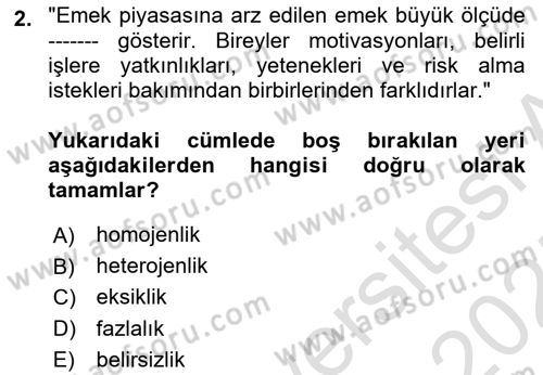 Çalışma Ekonomisi 1 Dersi 2024 - 2025 Yılı (Vize) Ara Sınav Soruları 2. Soru