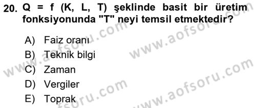 Çalışma Ekonomisi 1 Dersi 2024 - 2025 Yılı (Vize) Ara Sınav Soruları 20. Soru