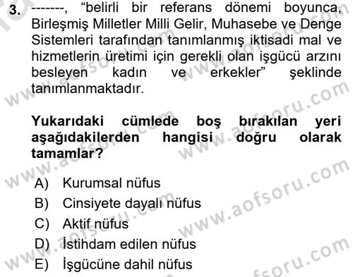 Çalışma Ekonomisi 1 Dersi 2024 - 2025 Yılı (Vize) Ara Sınav Soruları 3. Soru