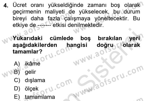 Çalışma Ekonomisi 1 Dersi 2024 - 2025 Yılı (Vize) Ara Sınav Soruları 4. Soru
