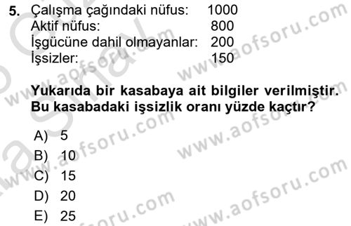 Çalışma Ekonomisi 1 Dersi 2024 - 2025 Yılı (Vize) Ara Sınav Soruları 5. Soru