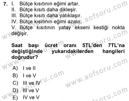 Çalışma Ekonomisi 1 Dersi 2024 - 2025 Yılı (Vize) Ara Sınav Soruları 7. Soru