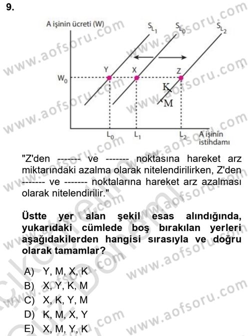Çalışma Ekonomisi 1 Dersi 2024 - 2025 Yılı (Vize) Ara Sınav Soruları 9. Soru