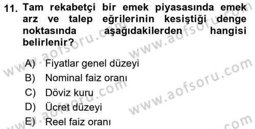 Çalışma Ekonomisi 1 Dersi 2024 - 2025 Yılı (Final) Dönem Sonu Sınav Soruları 11. Soru