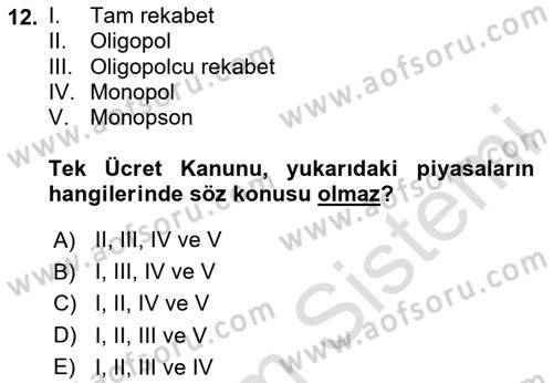Çalışma Ekonomisi 1 Dersi 2024 - 2025 Yılı (Final) Dönem Sonu Sınav Soruları 12. Soru
