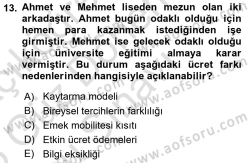Çalışma Ekonomisi 1 Dersi 2024 - 2025 Yılı (Final) Dönem Sonu Sınav Soruları 13. Soru