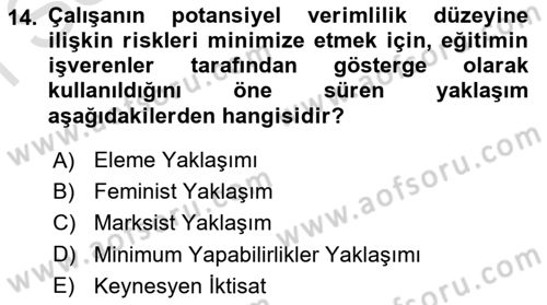 Çalışma Ekonomisi 1 Dersi 2024 - 2025 Yılı (Final) Dönem Sonu Sınav Soruları 14. Soru