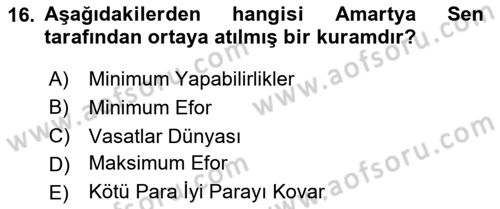 Çalışma Ekonomisi 1 Dersi 2024 - 2025 Yılı (Final) Dönem Sonu Sınav Soruları 16. Soru
