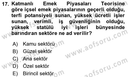 Çalışma Ekonomisi 1 Dersi 2024 - 2025 Yılı (Final) Dönem Sonu Sınav Soruları 17. Soru