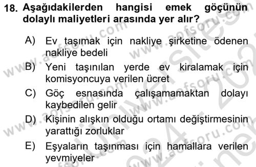 Çalışma Ekonomisi 1 Dersi 2024 - 2025 Yılı (Final) Dönem Sonu Sınav Soruları 18. Soru