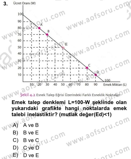 Çalışma Ekonomisi 1 Dersi 2024 - 2025 Yılı (Final) Dönem Sonu Sınav Soruları 3. Soru