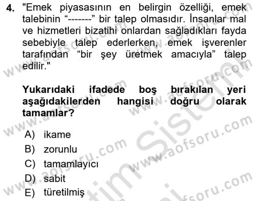 Çalışma Ekonomisi 1 Dersi 2024 - 2025 Yılı (Final) Dönem Sonu Sınav Soruları 4. Soru