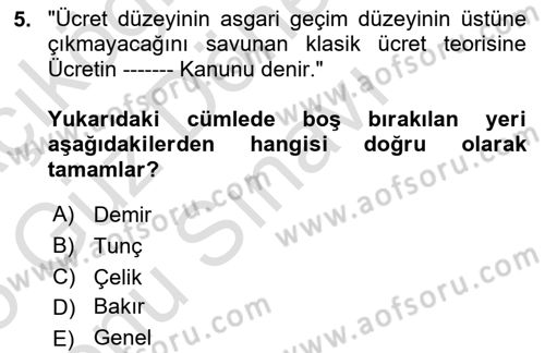 Çalışma Ekonomisi 1 Dersi 2024 - 2025 Yılı (Final) Dönem Sonu Sınav Soruları 5. Soru