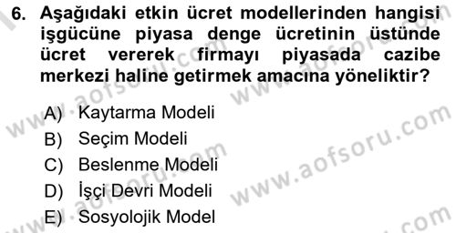 Çalışma Ekonomisi 1 Dersi 2024 - 2025 Yılı (Final) Dönem Sonu Sınav Soruları 6. Soru