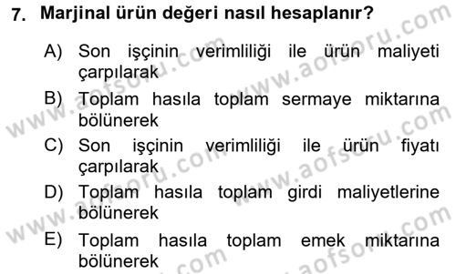 Çalışma Ekonomisi 1 Dersi 2024 - 2025 Yılı (Final) Dönem Sonu Sınav Soruları 7. Soru