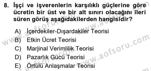 Çalışma Ekonomisi 1 Dersi 2024 - 2025 Yılı (Final) Dönem Sonu Sınav Soruları 8. Soru