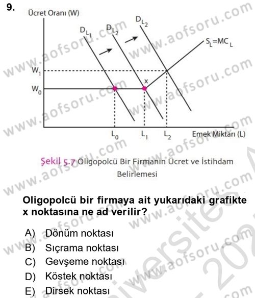 Çalışma Ekonomisi 1 Dersi 2024 - 2025 Yılı (Final) Dönem Sonu Sınav Soruları 9. Soru