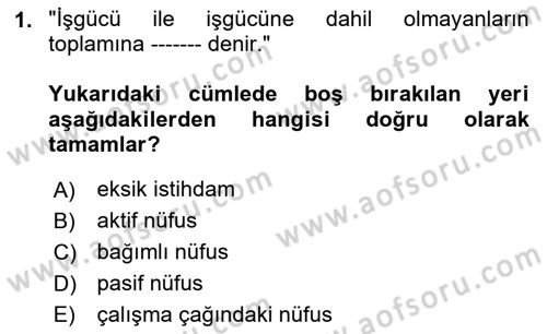 Çalışma Ekonomisi 1 Dersi 2024 - 2025 Yılı Yaz Okulu Sınav Soruları 1. Soru