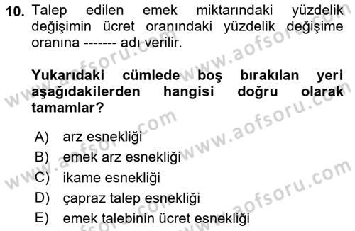 Çalışma Ekonomisi 1 Dersi 2024 - 2025 Yılı Yaz Okulu Sınav Soruları 10. Soru