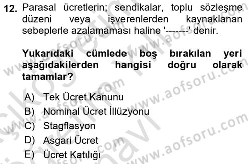 Çalışma Ekonomisi 1 Dersi 2024 - 2025 Yılı Yaz Okulu Sınav Soruları 12. Soru