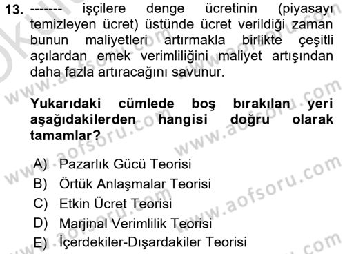 Çalışma Ekonomisi 1 Dersi 2024 - 2025 Yılı Yaz Okulu Sınav Soruları 13. Soru