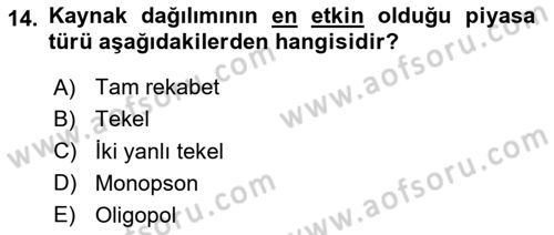 Çalışma Ekonomisi 1 Dersi 2024 - 2025 Yılı Yaz Okulu Sınav Soruları 14. Soru