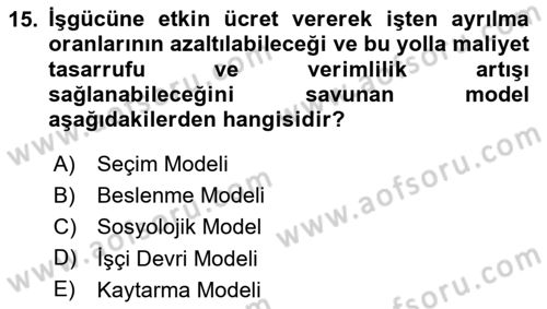 Çalışma Ekonomisi 1 Dersi 2024 - 2025 Yılı Yaz Okulu Sınav Soruları 15. Soru