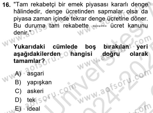 Çalışma Ekonomisi 1 Dersi 2024 - 2025 Yılı Yaz Okulu Sınav Soruları 16. Soru