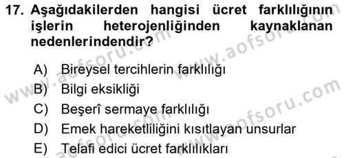 Çalışma Ekonomisi 1 Dersi 2024 - 2025 Yılı Yaz Okulu Sınav Soruları 17. Soru