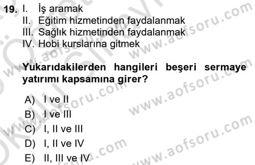 Çalışma Ekonomisi 1 Dersi 2024 - 2025 Yılı Yaz Okulu Sınav Soruları 19. Soru