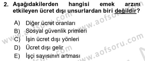 Çalışma Ekonomisi 1 Dersi 2024 - 2025 Yılı Yaz Okulu Sınav Soruları 2. Soru