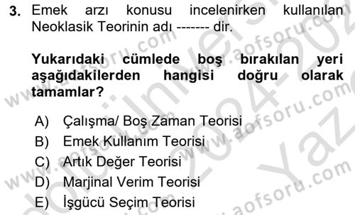 Çalışma Ekonomisi 1 Dersi 2024 - 2025 Yılı Yaz Okulu Sınav Soruları 3. Soru