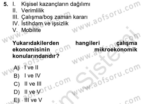 Çalışma Ekonomisi 1 Dersi 2024 - 2025 Yılı Yaz Okulu Sınav Soruları 5. Soru
