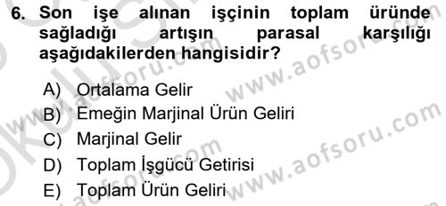 Çalışma Ekonomisi 1 Dersi 2024 - 2025 Yılı Yaz Okulu Sınav Soruları 6. Soru