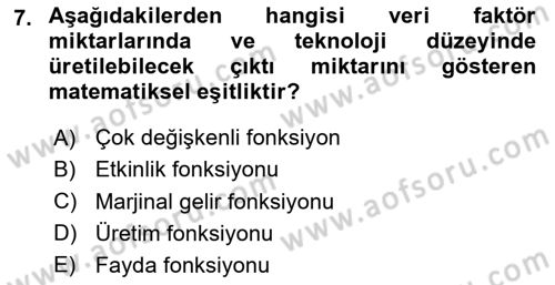 Çalışma Ekonomisi 1 Dersi 2024 - 2025 Yılı Yaz Okulu Sınav Soruları 7. Soru