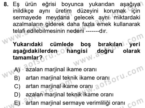 Çalışma Ekonomisi 1 Dersi 2024 - 2025 Yılı Yaz Okulu Sınav Soruları 8. Soru