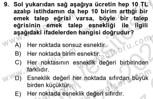 Çalışma Ekonomisi 1 Dersi 2024 - 2025 Yılı Yaz Okulu Sınav Soruları 9. Soru